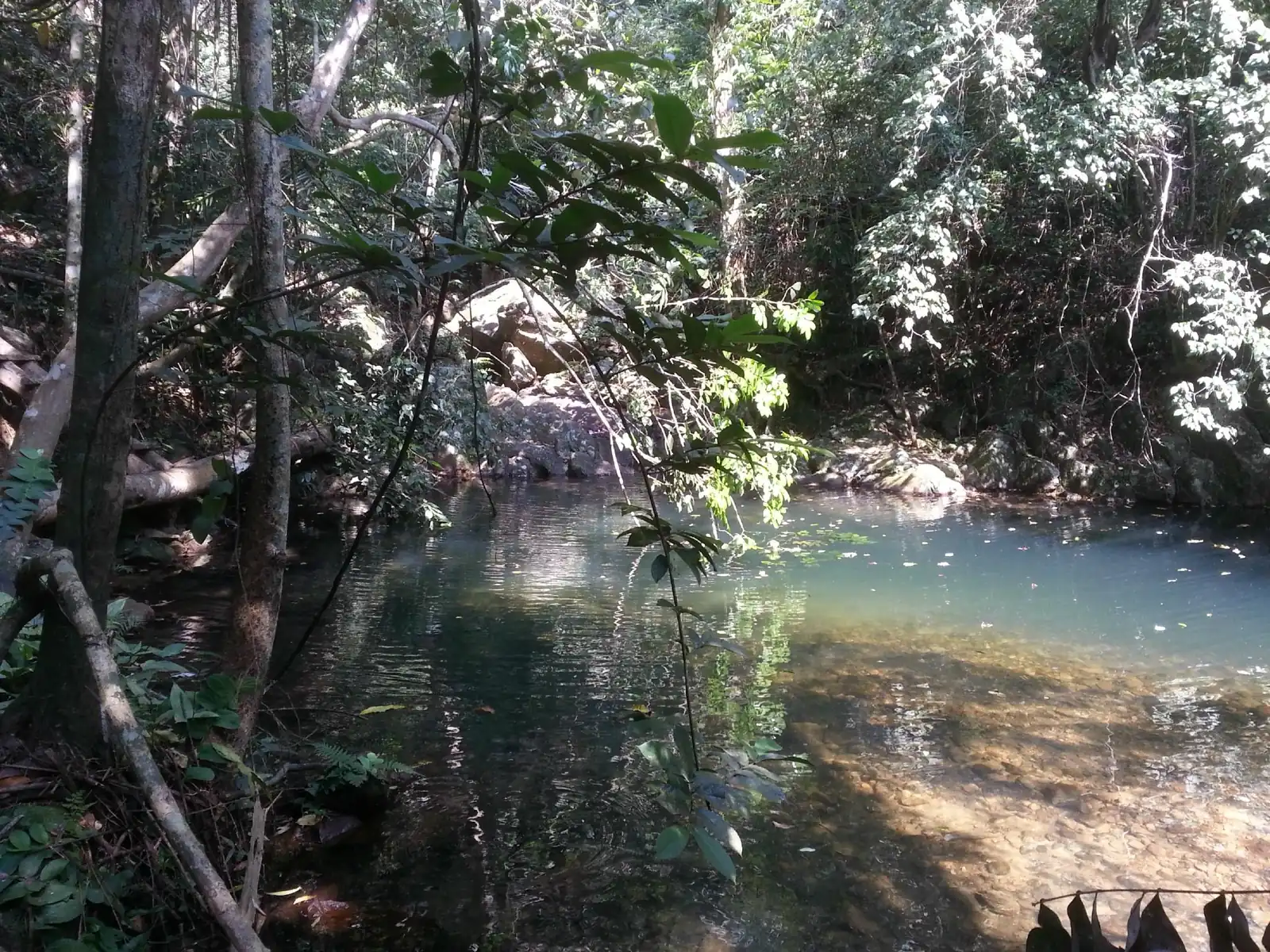 Phong Nha Botanic Garden: Vang Anh Lake