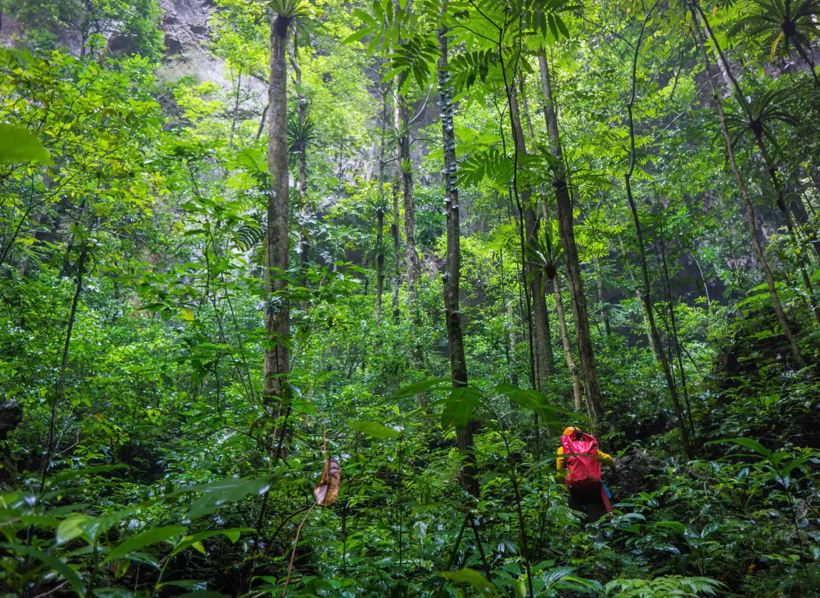 Son Doong: Garden of Edam