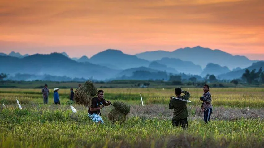 Phong Nha nightlife: bars, hostels and what evenings are like: The view from Farmstay