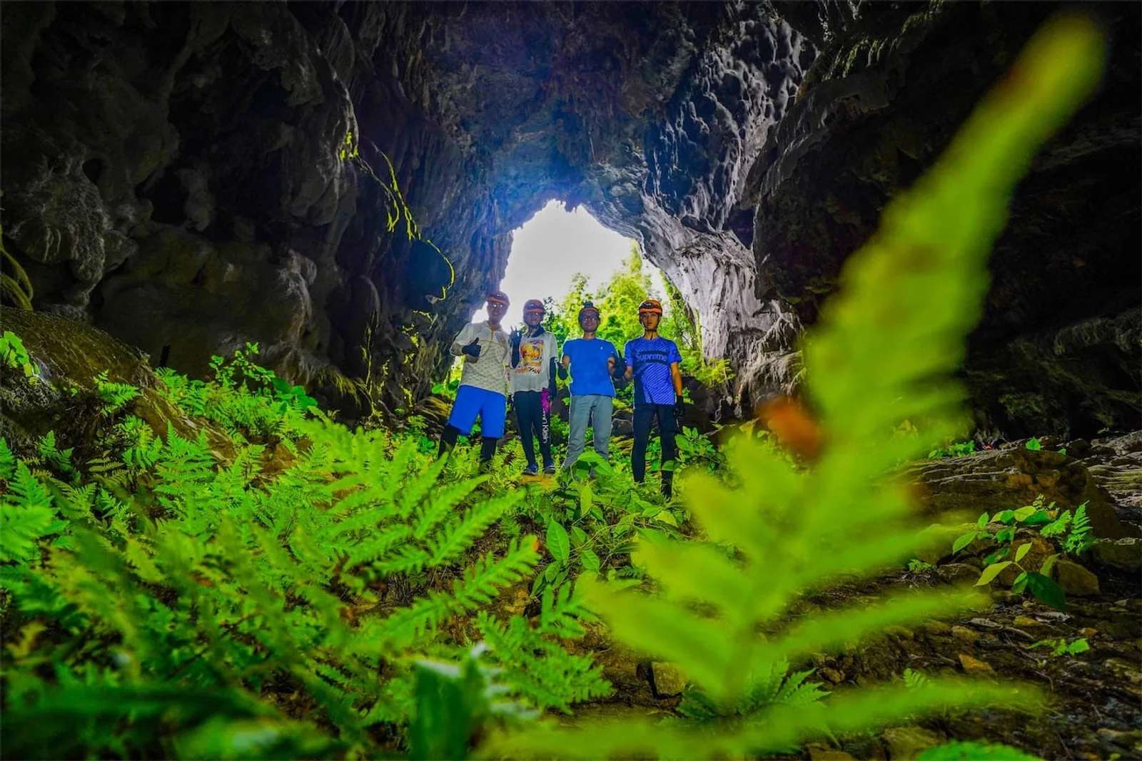 A group at the entrance to Elephant Cave framed by a jungle fern