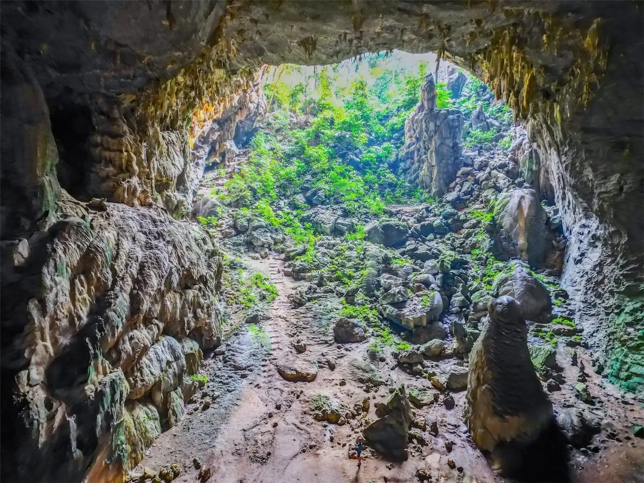 The wide mouth of Elephant Cave with jungle growing inside it