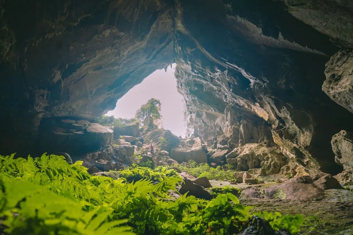 The mouth of Hang Tien with ferns growing where the daylight reaches
