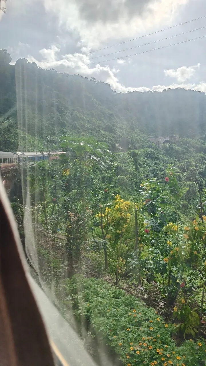 Khung cảnh nhìn từ tàu Thống Nhất chạy dọc bờ biển.