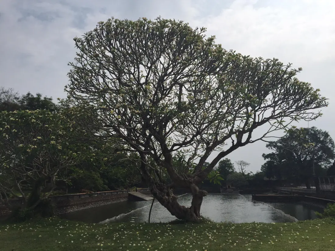 Hue, route to Phong Nha (view 2)