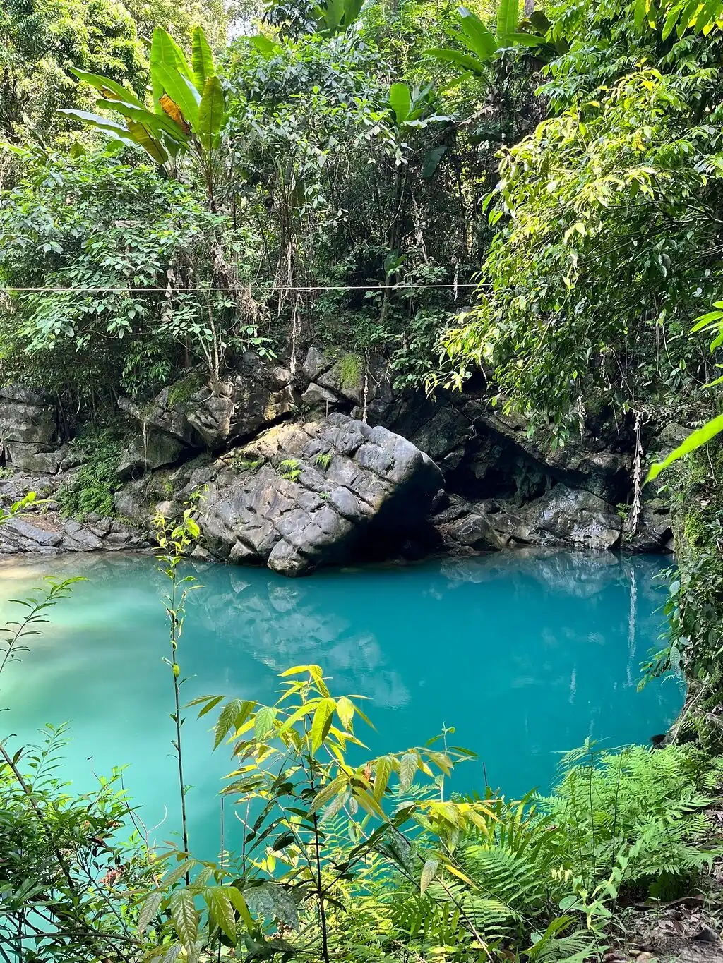 Phong Nha tours for couples, Phong Nha tour